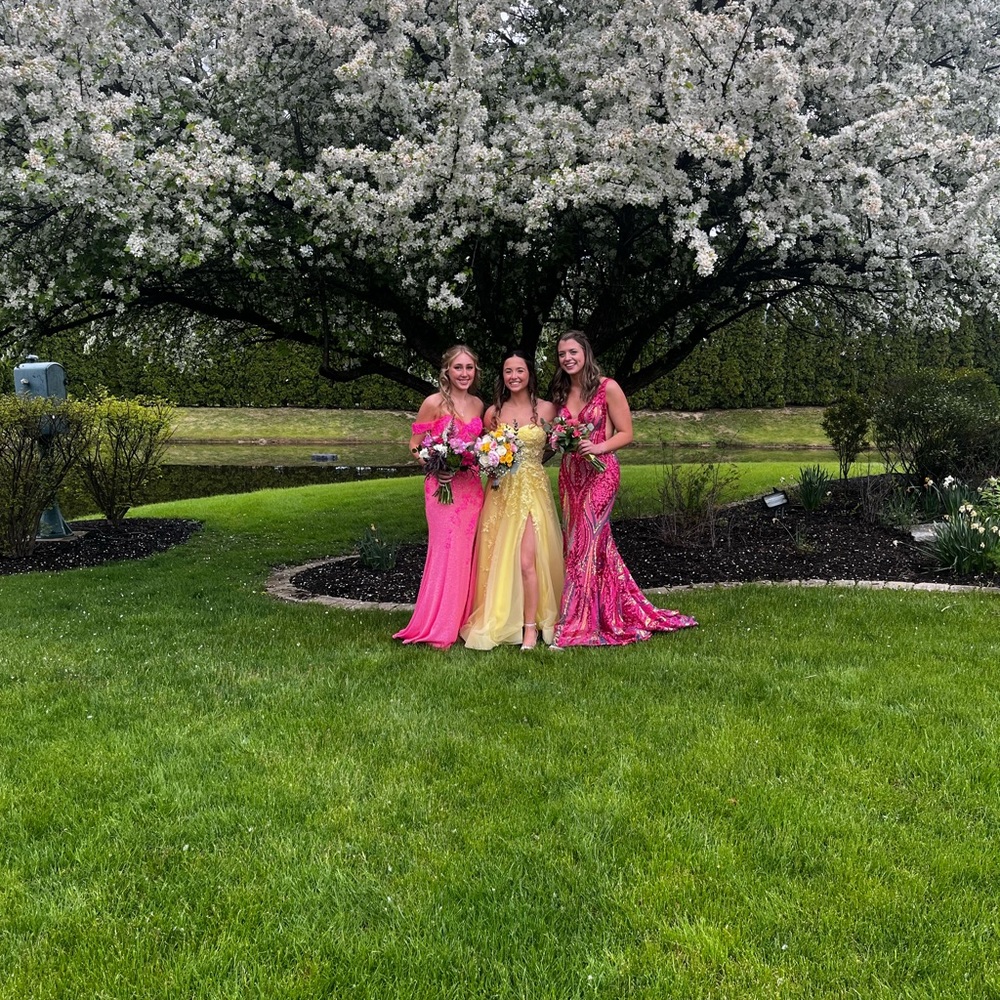 ellie wilde mon sheri prom dress - Picture 9 of 10